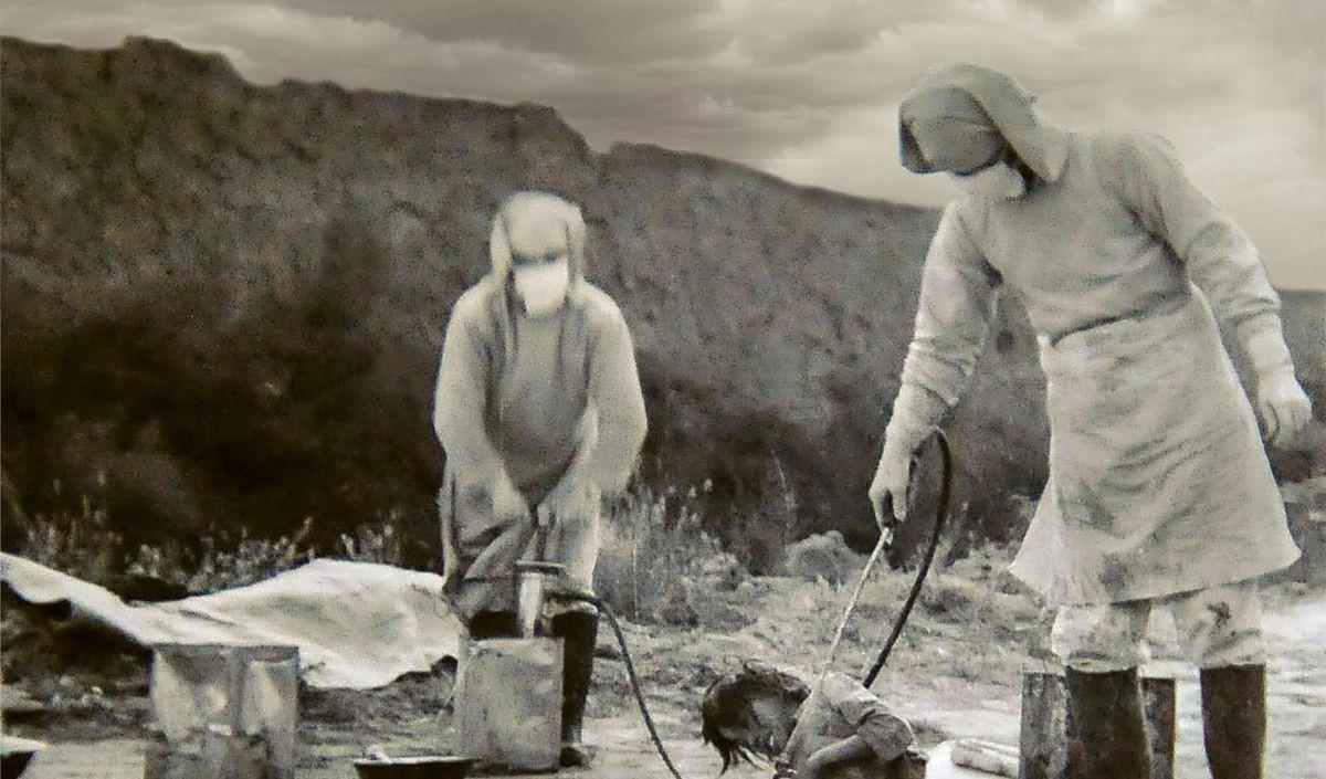 <b>Unit 731&nbsp;</b>