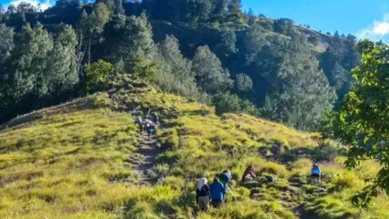 Ini Identitas Pendaki Asal Swiss dan Jalur yang Dilalui Sebelum Jatuh di Gunung Rinjani