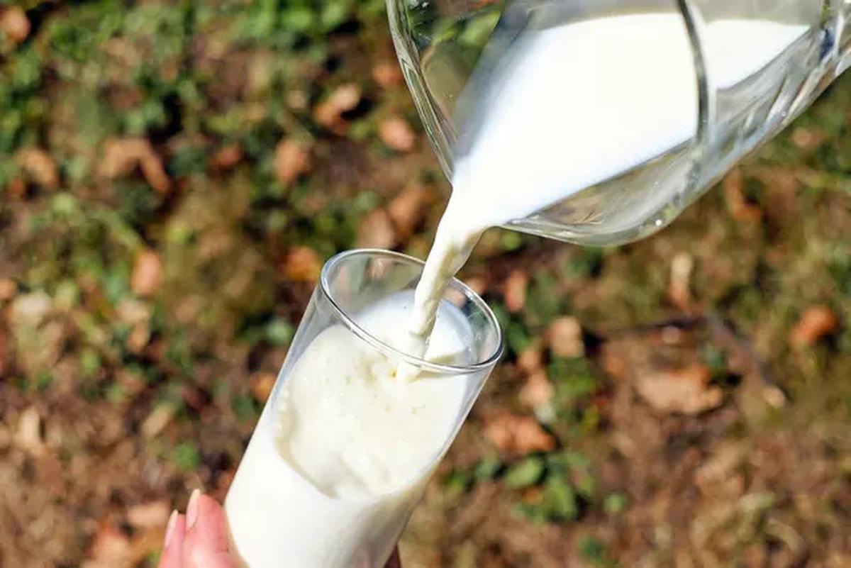 3 Manfaat Minum Susu Kunyit Sebelum Tidur, Salah Satunya Buat Istirahat Jadi Lebih Nyenyak