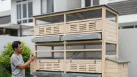 Ide Ternak Vertikal di Rumah Sempit yang Jarang Diketahui, Solusi Produktif Lahan Terbatas