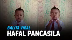 vertical balita