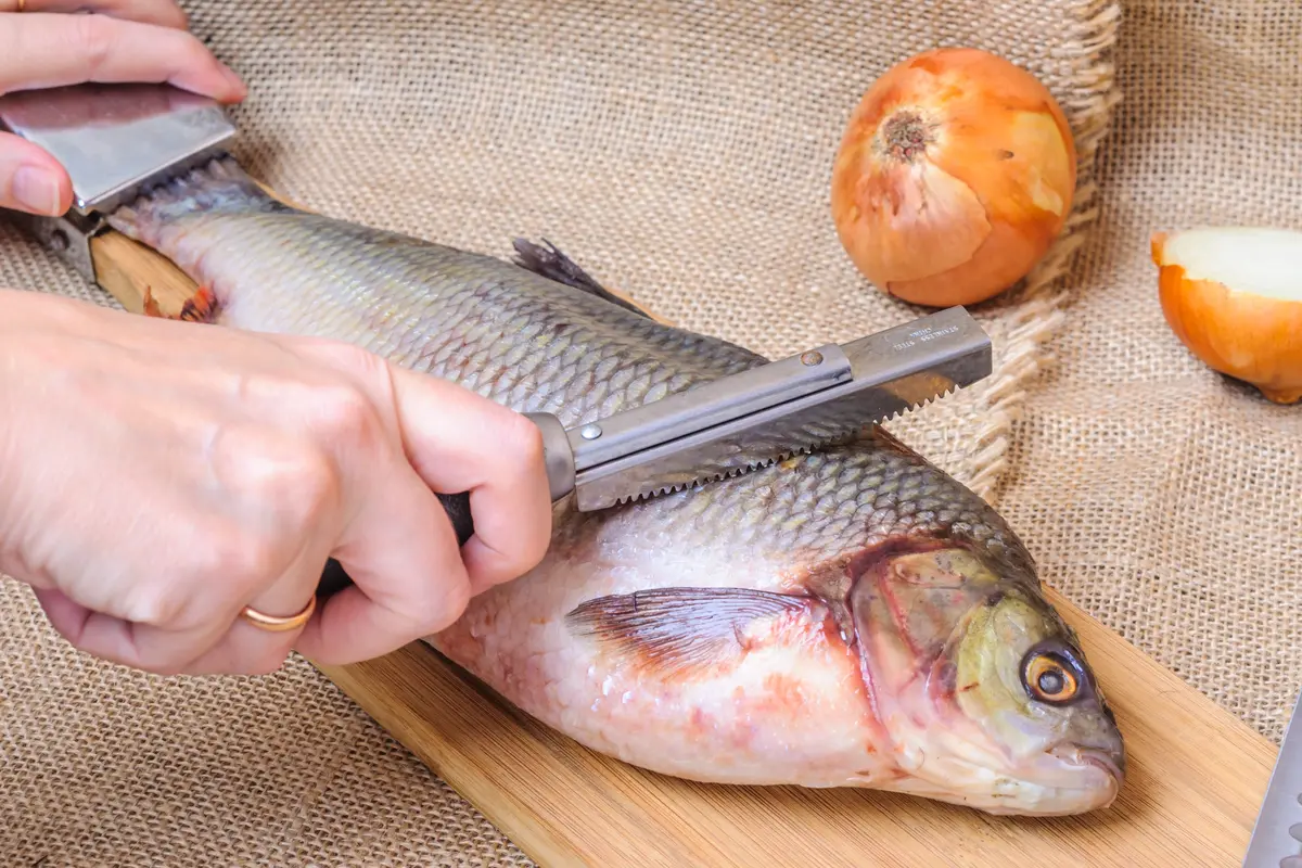 membersihkan sisik ikan