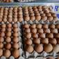 Pedagang menata telur ayam lokal dagangannya di pinggir jalan Pamulang Permai, Tangerang Selatan, Banten, Jumat (30/10/2020). Memasuki libur panjang pada pekan ini, harga telur dipasaran yang sebelumnya mencapai 23 ribu kini turun menjadi Rp 21 ribu per kilogram. (merdeka.com/Dwi Narwoko)