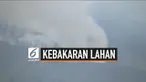 Kebakaran di lereng Gunung Merbabu semakin meluas. Saat ini sekitar 115 hektar lahan hangus terbakar. Kebakaran sudah meluas hingga ke Wilayah Boyolali.
