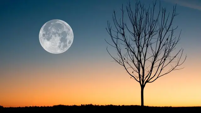 ilustrasi bulan. (Photo by David Besh from Pexels)