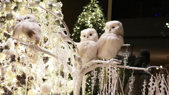 Sambut Natal, Ini 7 Potret Dekorasi Rumah Sandra Dewi Bertema White Christmas.