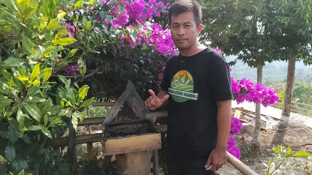 Ketua Kelompk Tani Hutan (KTH) Lestari Mandiri Saeful Rohman, menunjukan salah satu stup sarang lebah madu Trigona Itama penghasil madu alam Trigona yang kaya khasit bagi tubuh. (Liputan6.com/Jayadi Supriadin)