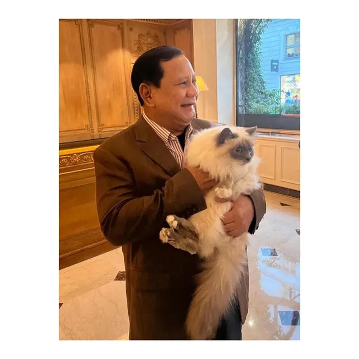 Foto Prabowo Gendong Kucing Bobby Kertanegara di Istana Disukai 2,3 Juta Orang, Rossa Sampai Gemas