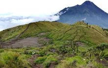Viral Open Trip Kapling Area Camping di Gunung Merbabu
