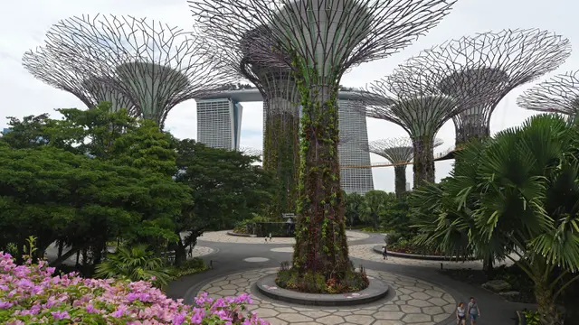 Tempat Wisata di Singapura Sepi