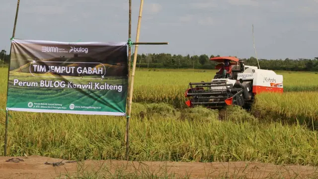 Tim Jemput Gabah