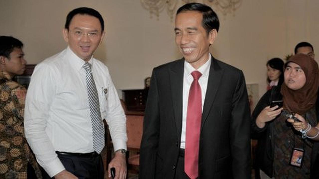 Dulu Jokowi urusi monyet, sekarang Ahok sibuk soal anjing