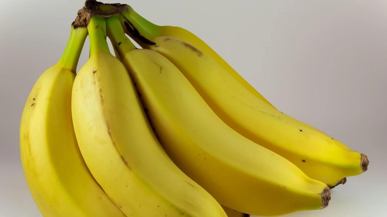 Lagi Diet? Coba 8 Olahan Pisang Sehat Tanpa Digoreng Ini!