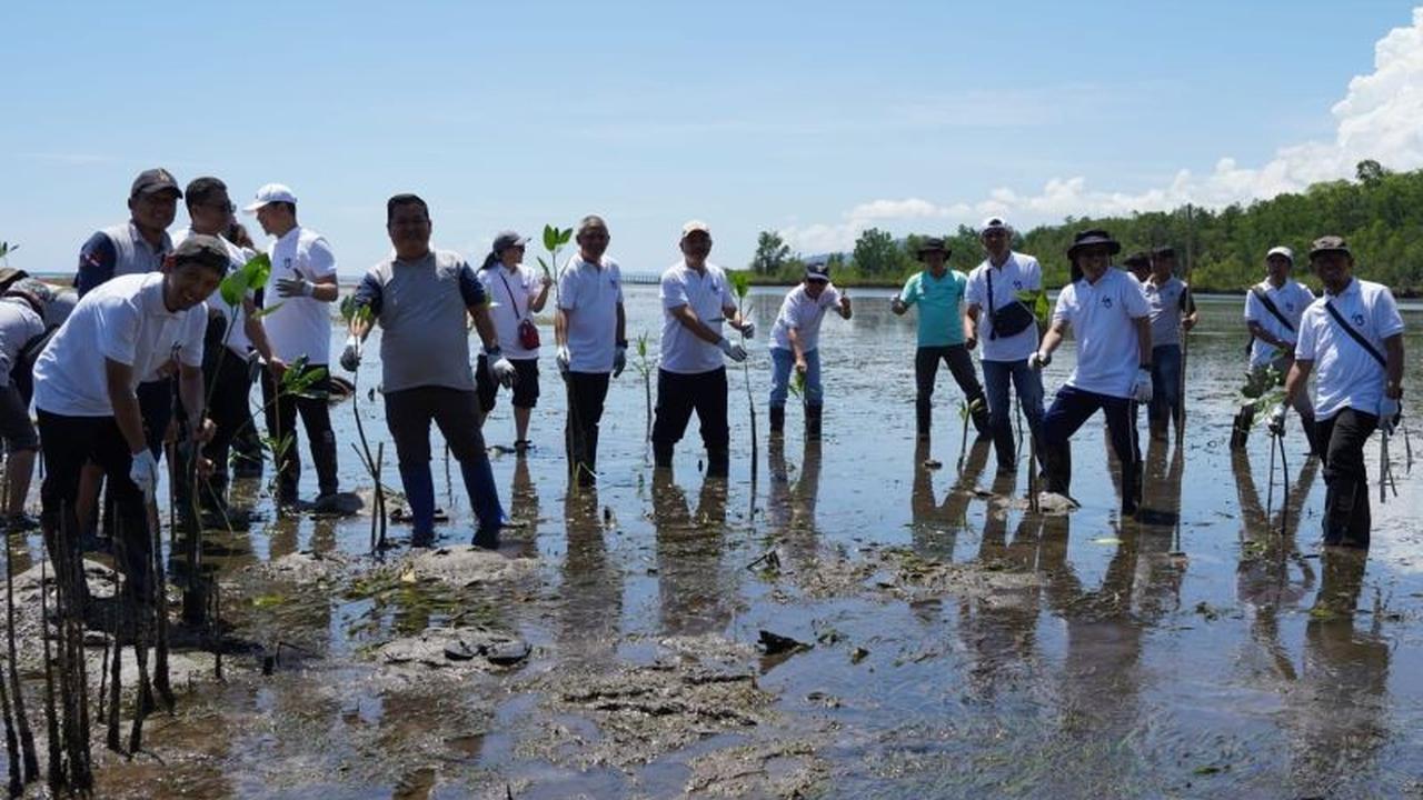 BPKP dan DLHD Sulut Kolaborasi Perkuat Penanaman Mangrove Jaga Ekosistem Pesisir