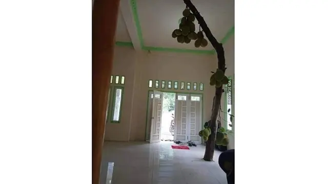 6 Potret Tanaman Tumbuh di Tempat Tak Biasa Ini Nyeleneh Banget