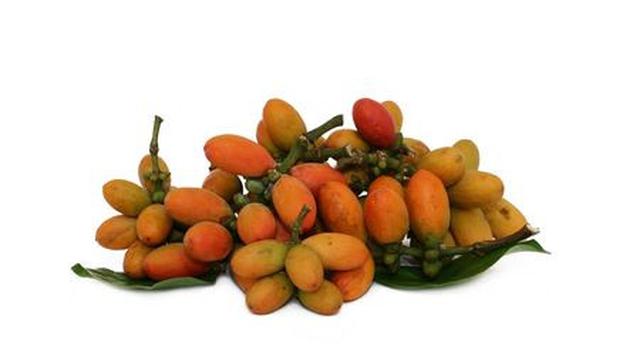 Segudang Manfaat Kulit Melinjo