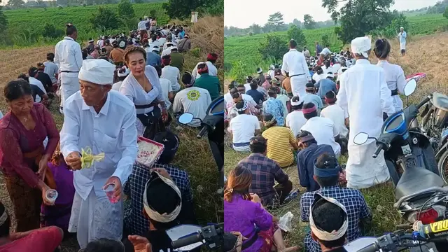 Puluhan umat Hindu Bali gelar doa bersama di lokasi penyembelihan tapir, Mesuji, Lampung.