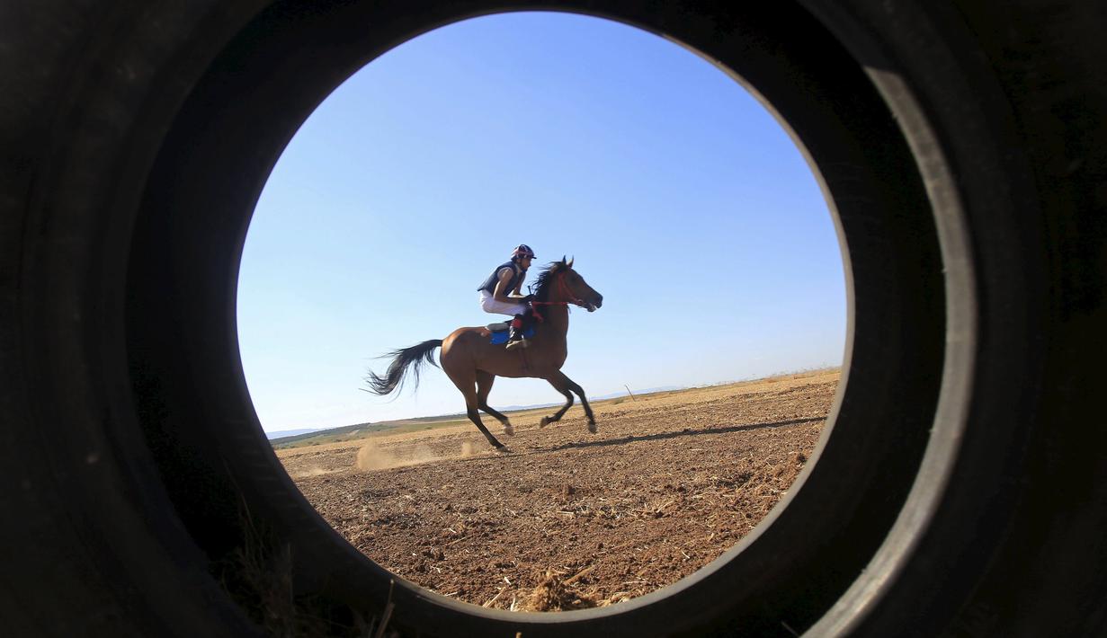 Seorang joki Palestina beraksi dalam lomba pacuan kuda di Jenin, Tepi Barat. (28/8/2015). (Reuters/Abed Omar Qusini)