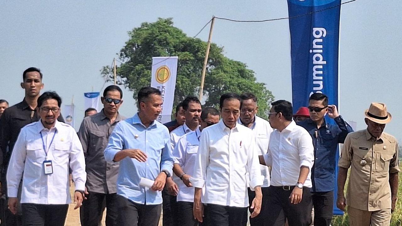 Gantikan SYL, Plt Mentan Arief Prasetyo Adi  Langsung Diajak Jokowi Tinjau Panen Padi di Subang