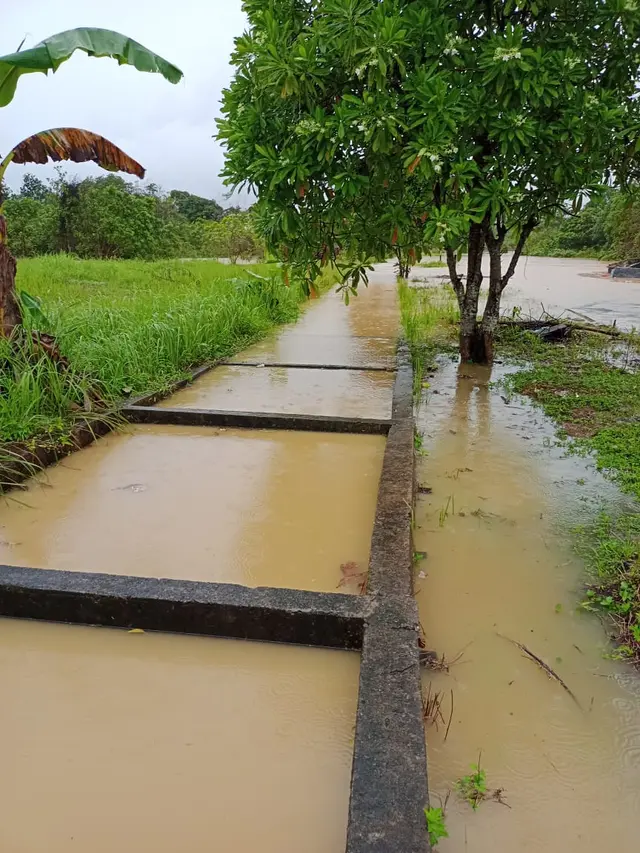 Sistem drainase di kawasan Kariangau yang meluap.