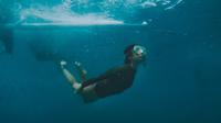 Ilustrasi snorkeling. (dok. pexels/Janiere Fernandez)
