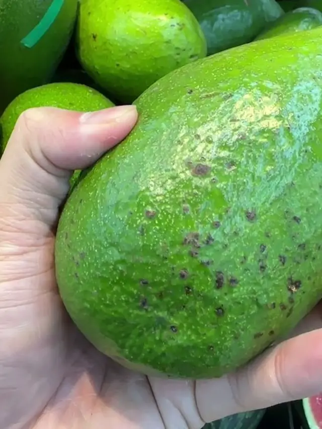 Cara Mudah Ketahui Alpukat yang Sudah Matang Tanpa Dibelah