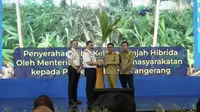 Hari Bakti Imigrasi ke-76, Kemenimipas Perluas Pengabdian Lewat Bakti Sosial dan Penanaman Kelapa