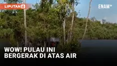 Keren! Pulau di Kalimantan Barat Bergerak Ikuti Arus Air