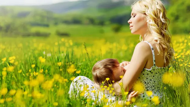 Foto : copyright shutterstock.com