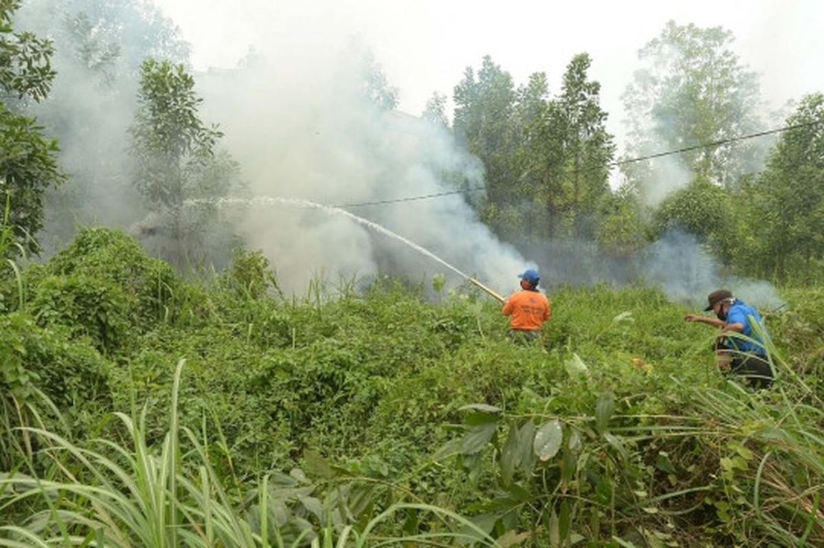 Aksi tim gabungan terobos asap tebal padamkan kebakaran hutan Riau