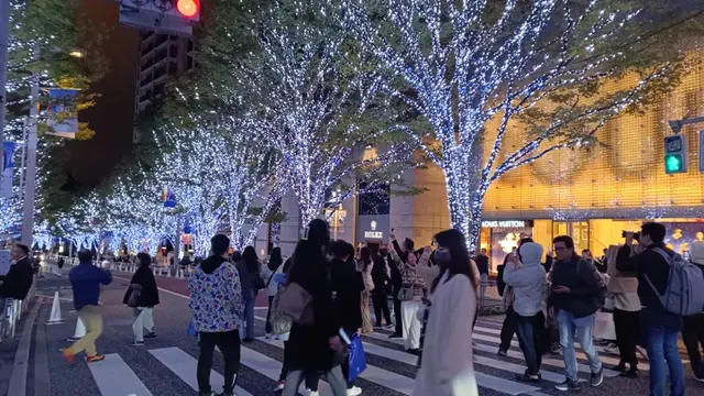 Pepohonan di Rappongi dihiasi ribuan lampu LED yang indah untuk acara tahunan ilmunasi "Artelligent Christmas".