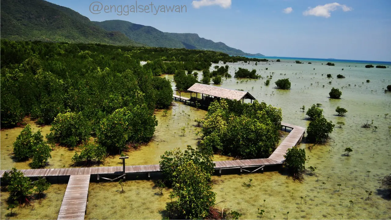 [Bintang] Terjebak Keindahan Pantai-pantai di Karimunjawa