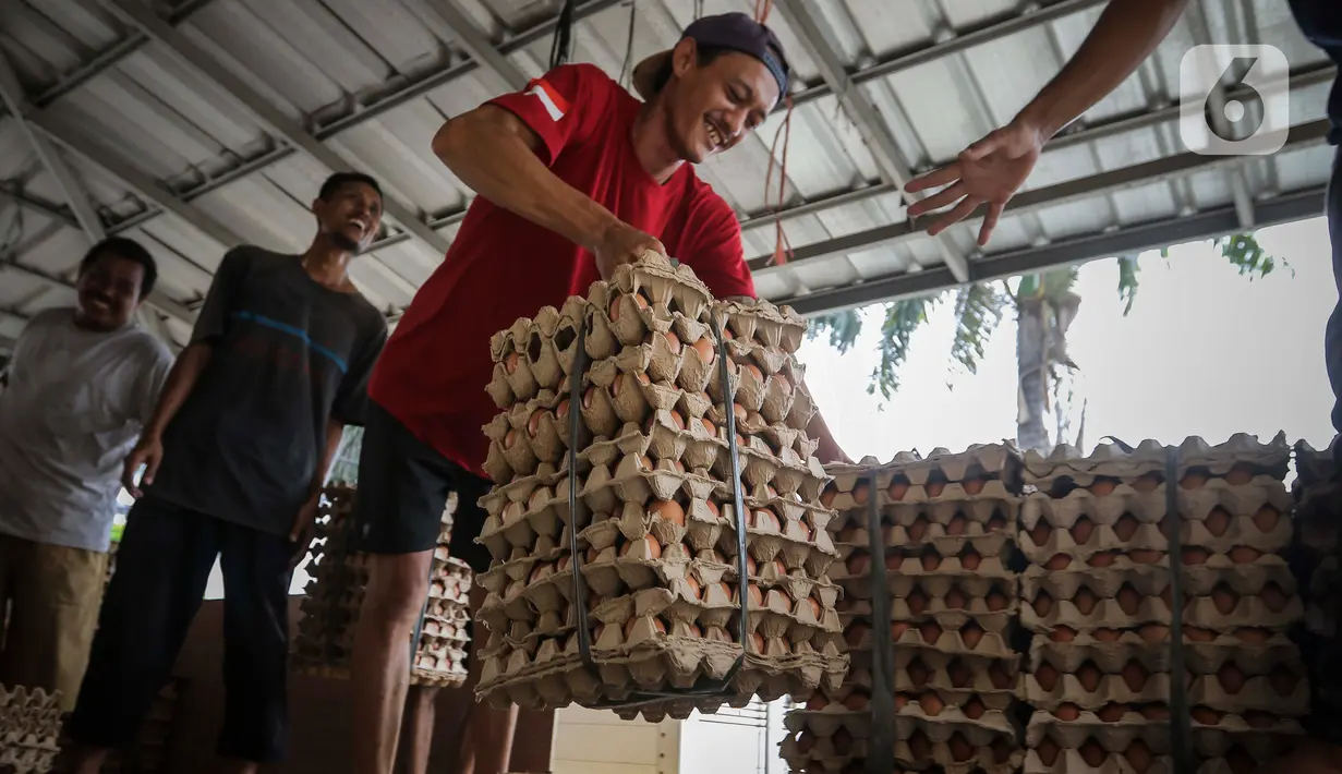Pekerja memindahkan telur ayam dalam kemasan untuk dikirim menuju pasar di kawasan Karang Tengah, Kota Tangerang, Banten, Selasa (5/12/2023). (Liputan6.com/Angga Yuniar)