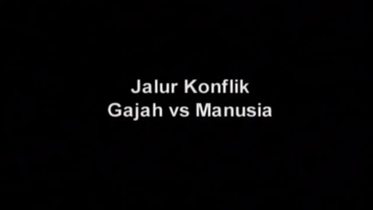 Potret Menembus Batas: Jalur Konflik Gajah VS Manusia