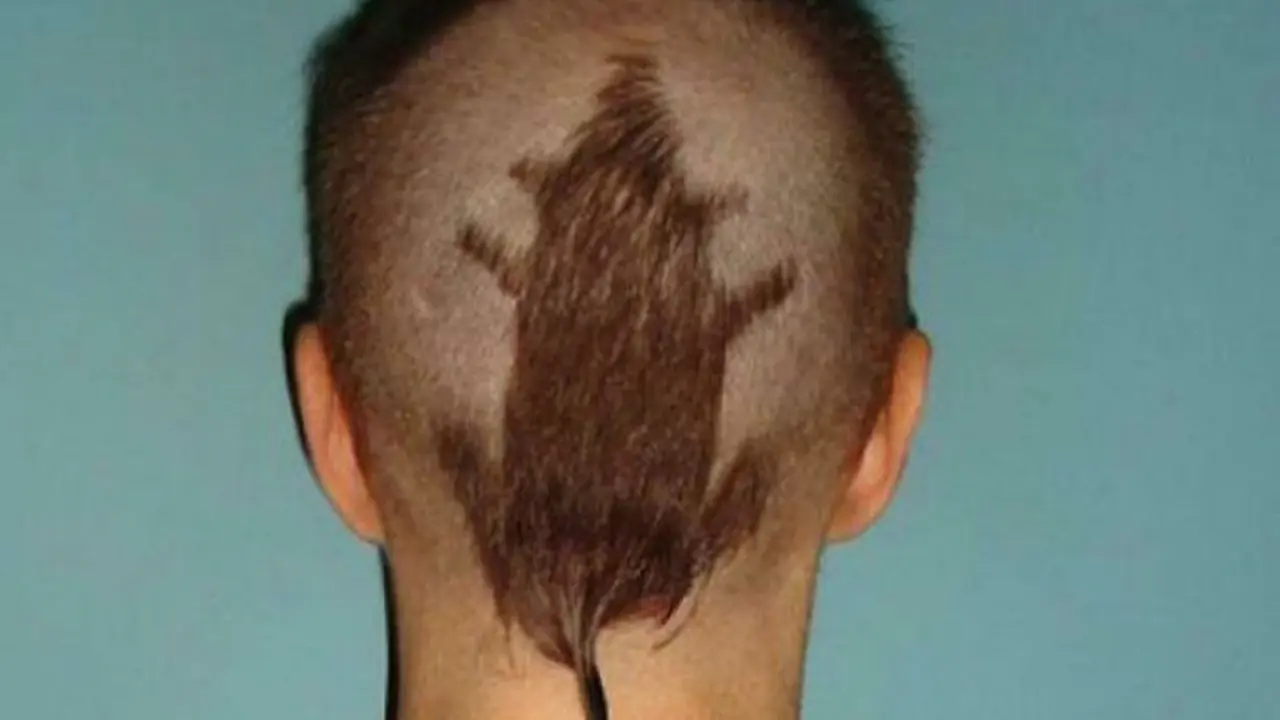 7 Potret Potongan Rambut Ini Absurd Banget, Bikin Ngakak