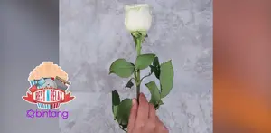 Cara Membuat Bunga Berwarna Pelangi