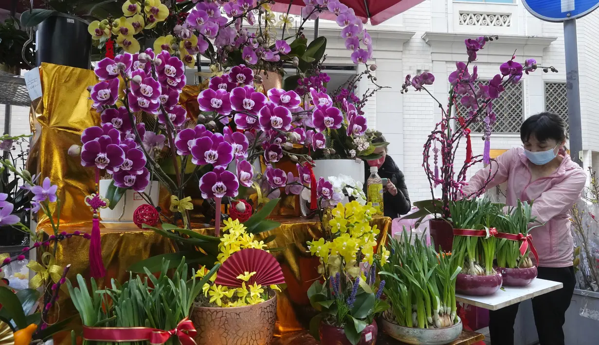 Seorang perempuan mempersiapkan bunga untuk dijual di pasar untuk merayakan Tahun Baru Imlek di Hong Kong, Minggu (30/1/2022). Tahun Baru China atau Imlek jatuh pada 1 Februari (AP Photo/Vincent Yu)