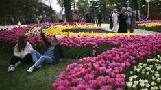 Orang-orang mengunjungi ladang tulip mekar di Taman Emirgan di Istanbul sehari sebelum "penguncian penuh" atau lockdown, Rabu (28/4/2021). Turki akan memberlakukan lockdown penuh selama tiga minggu dari 29 April hingga 17 Mei 2021 untuk membendung penyebaran virus corona. (AP Photo/Emrah Gurel)