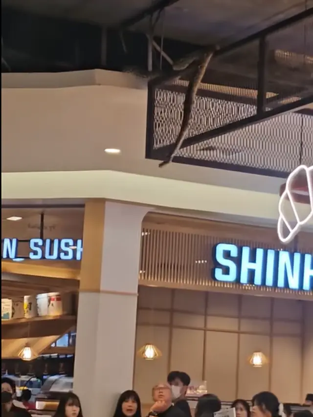 Viral Ular Menggantung di Mall Thailand