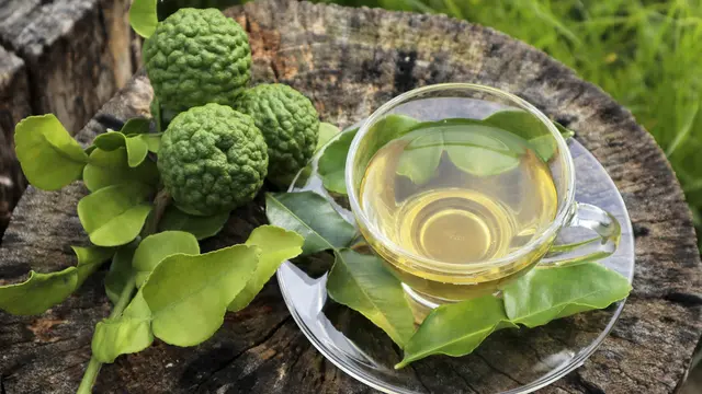 resep daun jeruk pecel purut