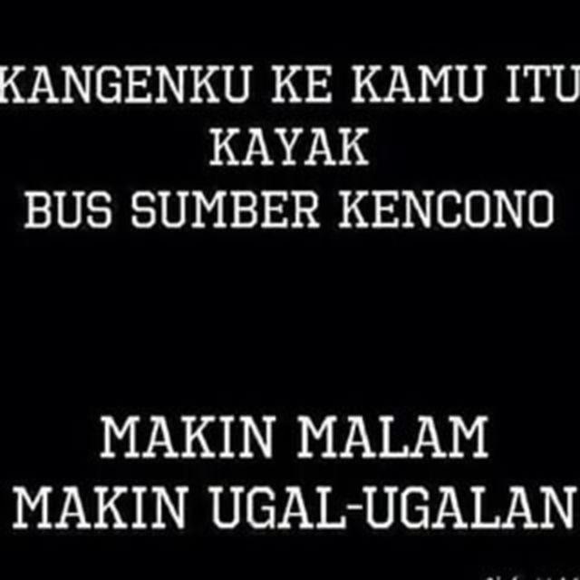 Meme bus Indonesia (Istimewa)