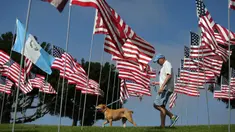 Seorang pria berjalan bersama anjing piaraan pada peringatan 15 tahun bagi para korban 11 September 2001 di Malibu, California, (11/09). Sebanyak 3.000 bendera AS dikibarkan, mewakili setiap nyawa yang hilang. (REUTERS/Lucy Nicholson)