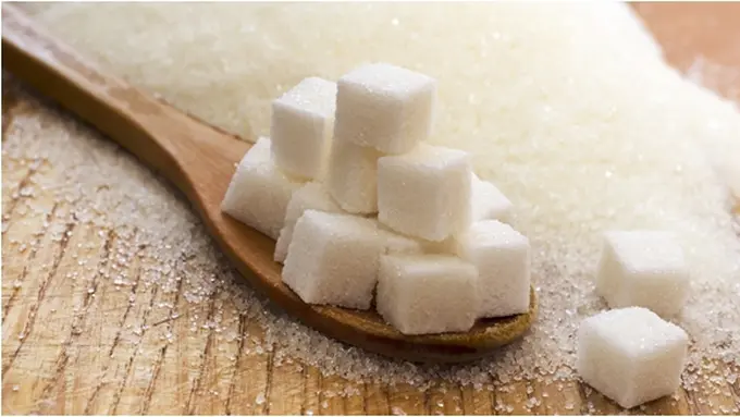 Foto: copyright by shutterstock.com