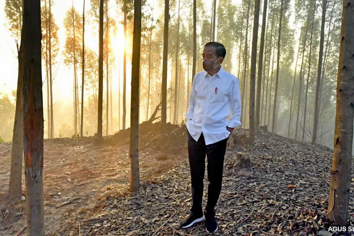 Saat Jokowi Berkemah di Sekitar Titik Nol IKN