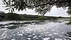 Limbah busa menutupi permukaan air di Kali Ancol, Jakarta, Selasa (16/2). Buruknya tata kelola air di Ibukota menjadi penyebab kondisi Kali Ancol selalu dipenuhi limbah busa, yang merupakan indikator pencemaran air. (Liputan6.com/Immanuel Antonius)