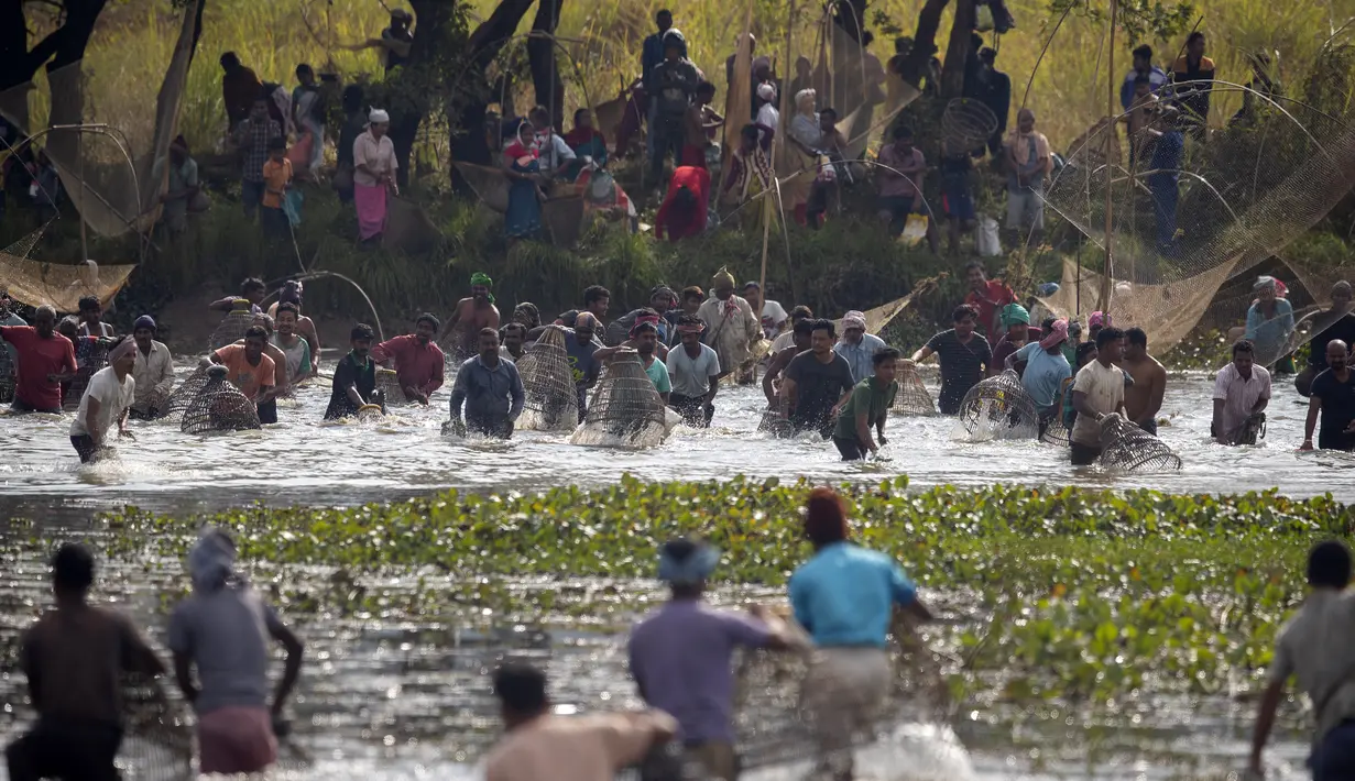 Penduduk desa berpartisipasi dalam komunitas memancing sebagai bagian dari perayaan Bhogali Bihu di desa Panbari, sekitar 50 km timur Gauhati, India, Kamis (13/1/2022). "Bhogali Bihu" menandai berakhirnya musim panen di timur laut negara bagian Assam. (AP Photo/Anupam Nath)