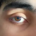 Retina dari Orang Meninggal bisa Dihidupkan Kembali untuk Transplantasi Mata