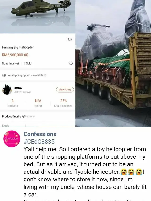 Dikira Pesan Mainan, Pria Ini Terkejut saat Datang Justru Helikopter Asli