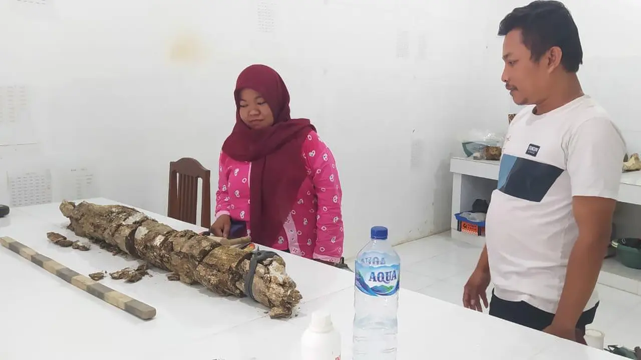 Penemuan Fosil