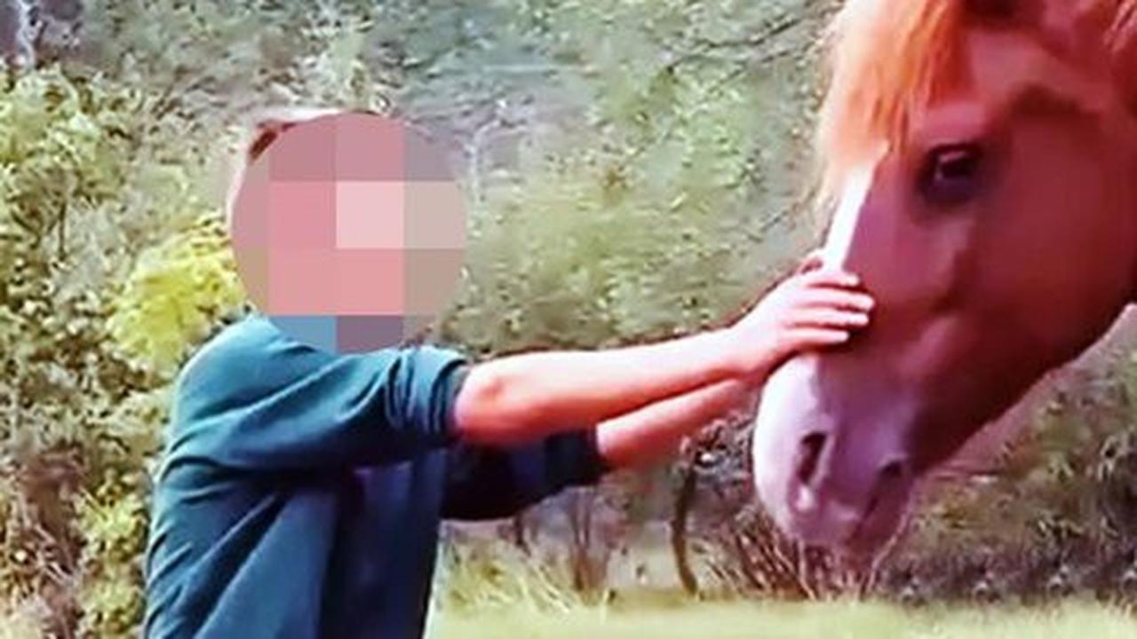 Tak disangka, hewan-hewan jinak ini sanggup memotong penis manusia